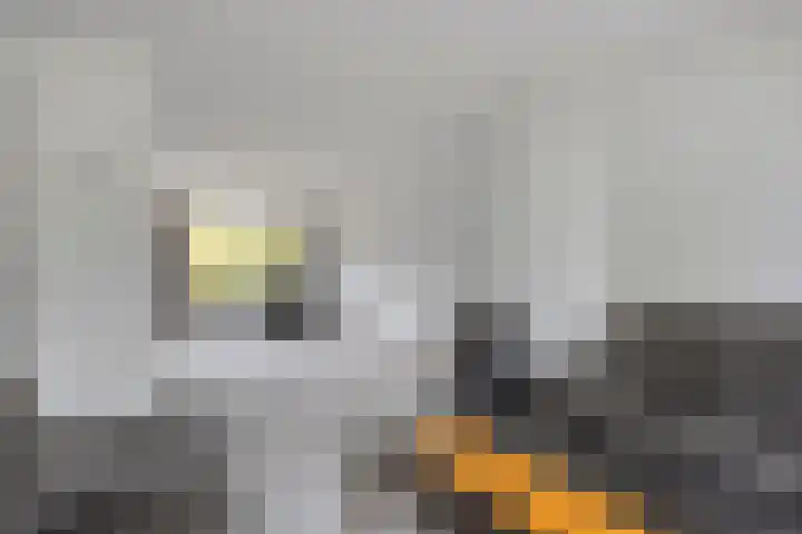 IJsselkade 34 Leiden thumbnail 6