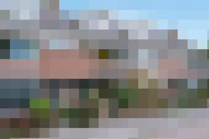 IJsselkade 36 Leiden thumbnail 6