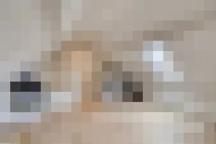 IJsselkade 45 I Kampen thumbnail 33