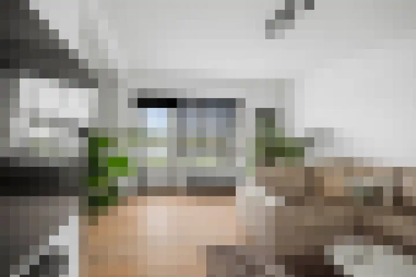 IJsselkade 64 Deventer thumbnail 9