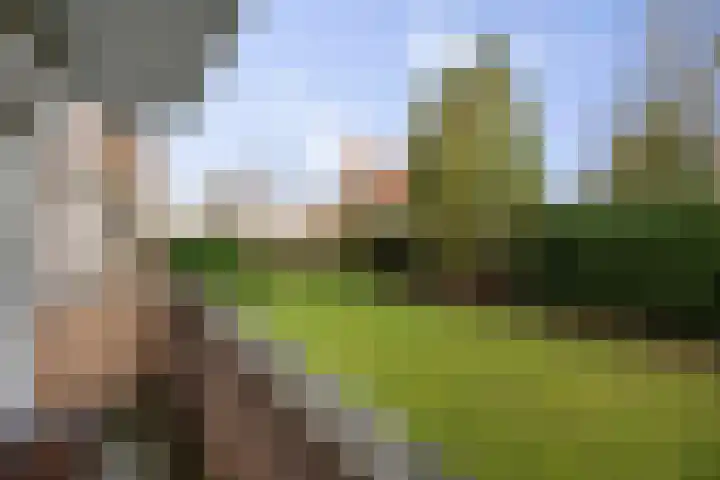 IJsselkade 65 Deventer thumbnail 19