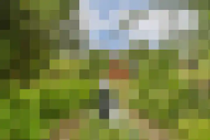 IJssellaan 104 Gouda thumbnail 28