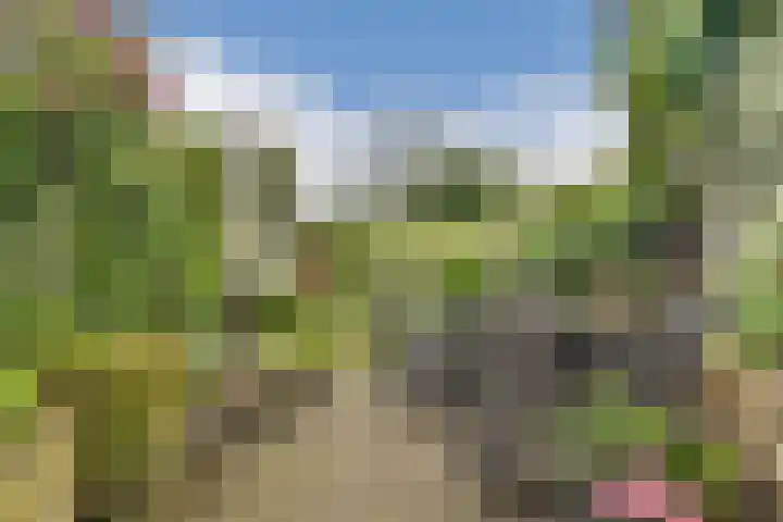 IJssellaan 104 Gouda thumbnail 4