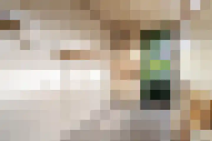 IJssellaan 117 Gouda thumbnail 8