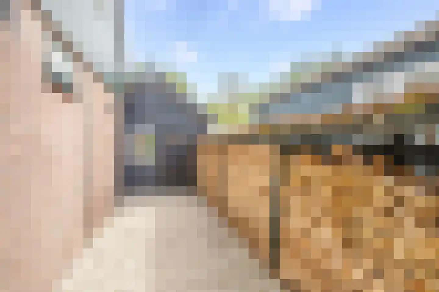 IJssellaan 18 Ouderkerk aan den IJssel thumbnail 34