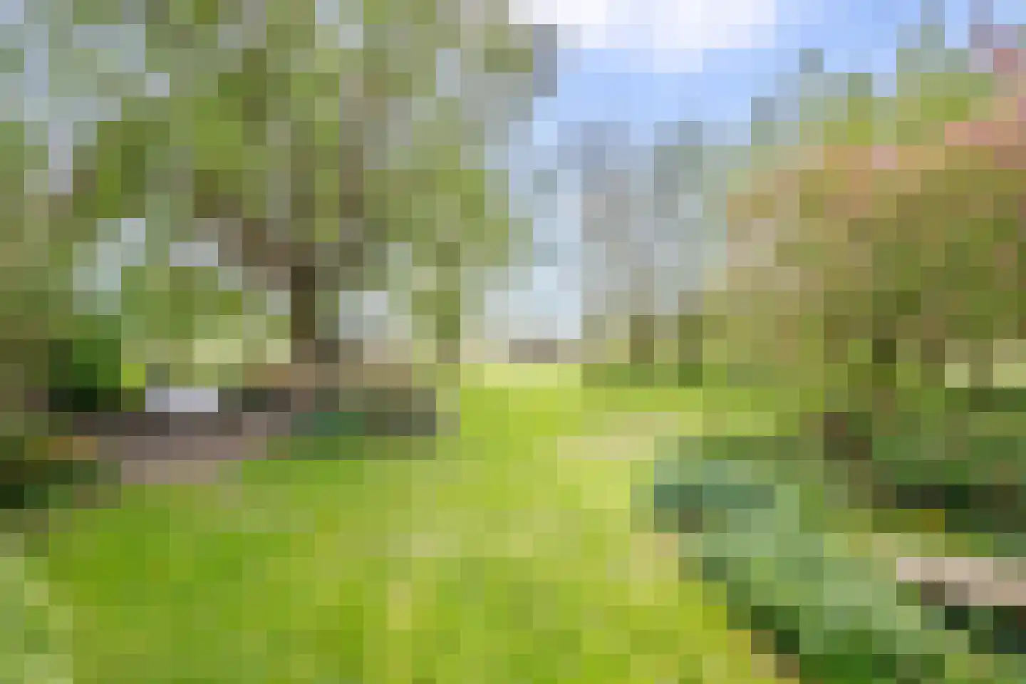 IJssellaan 18 Ouderkerk aan den IJssel thumbnail 4