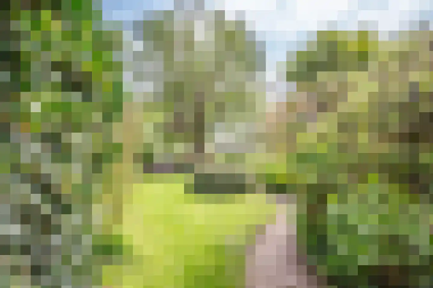 IJssellaan 18 Ouderkerk aan den IJssel thumbnail 41