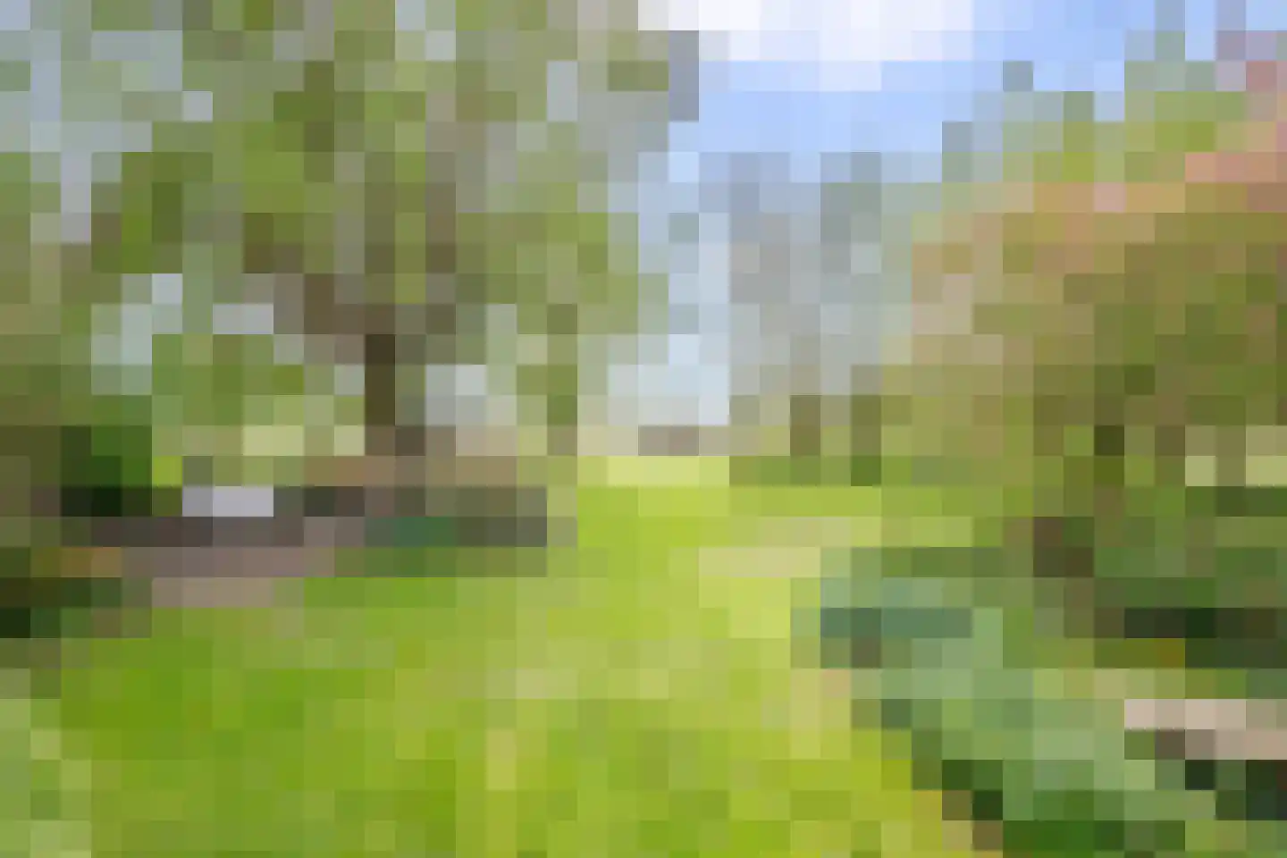 IJssellaan 18 Ouderkerk aan den IJssel thumbnail 43