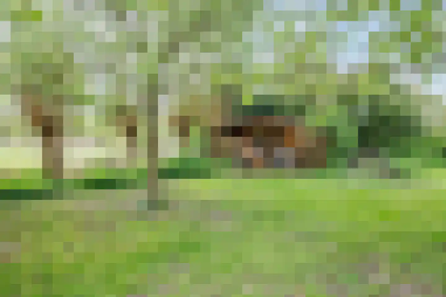 IJssellaan 18 Ouderkerk aan den IJssel thumbnail 46