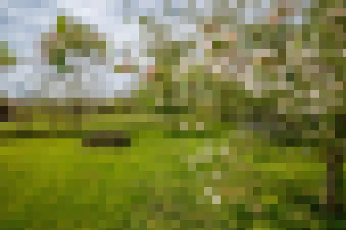 IJssellaan 18 Ouderkerk aan den IJssel thumbnail 53