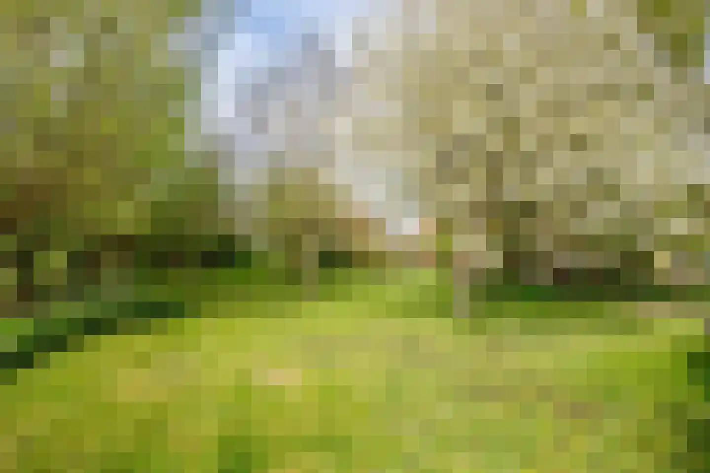 IJssellaan 18 Ouderkerk aan den IJssel thumbnail 54