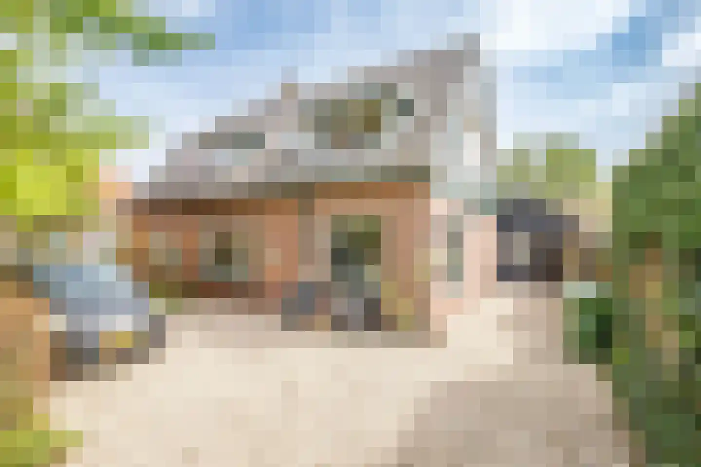 IJssellaan 18 Ouderkerk aan den IJssel thumbnail 6