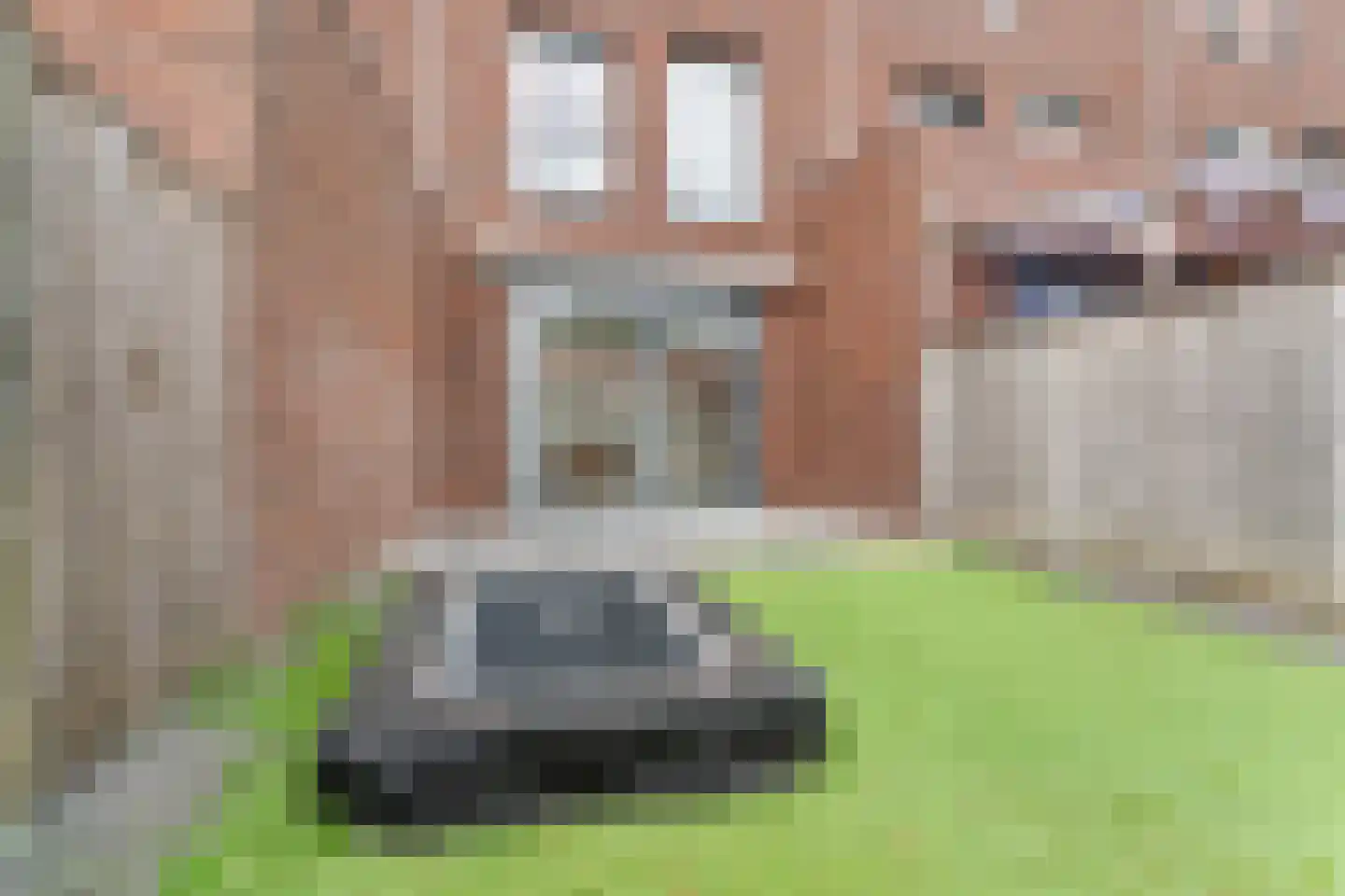 IJssellaan 20 Arnhem thumbnail 18