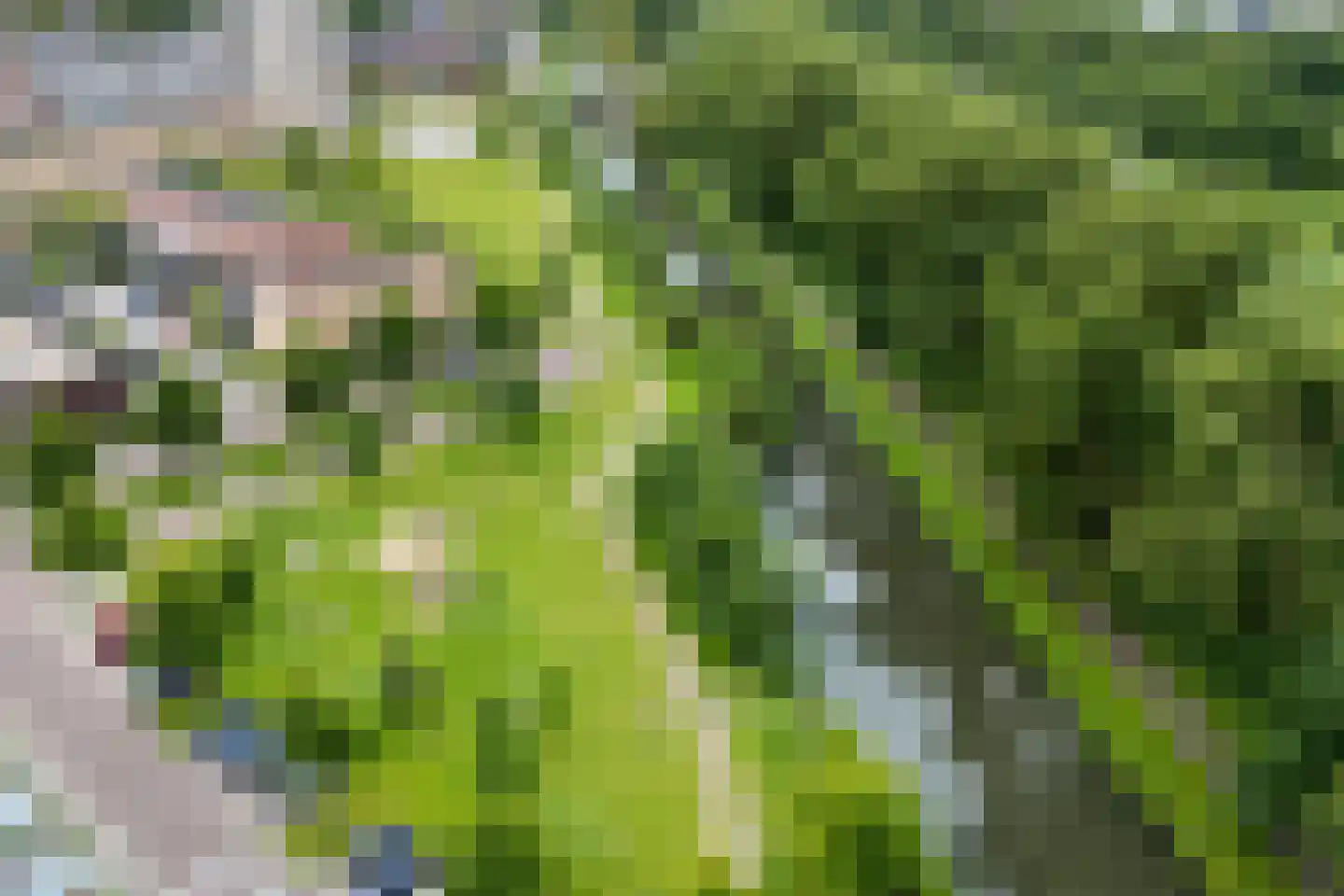 IJssellaan 20 Arnhem thumbnail 47