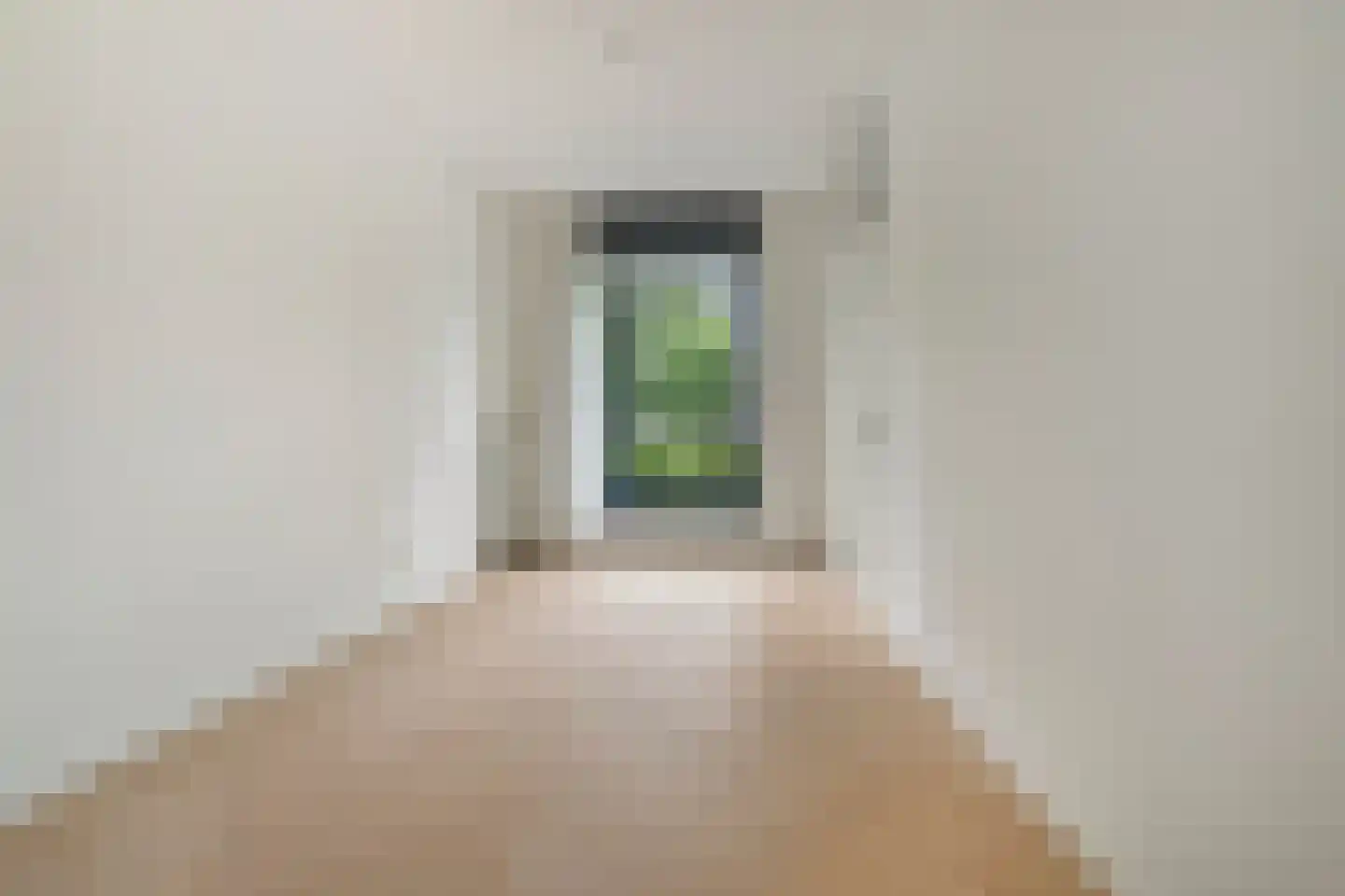 IJssellaan 20 Arnhem thumbnail 9