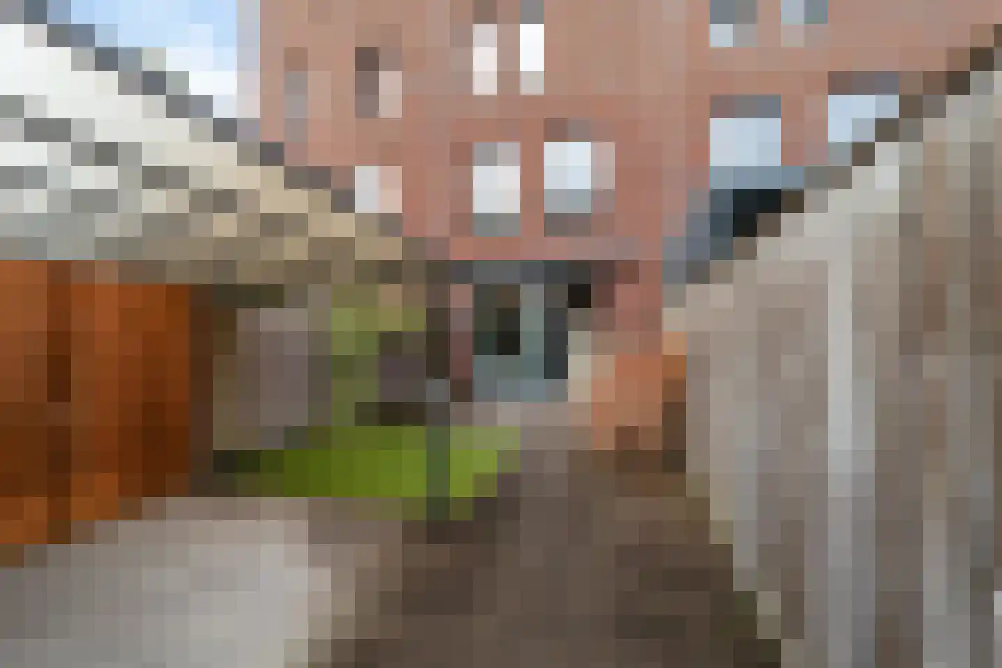 IJssellaan 4 Arnhem thumbnail 33