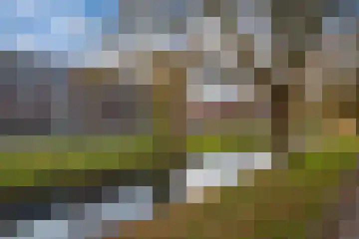 IJssellaan 42 A Arnhem thumbnail 60