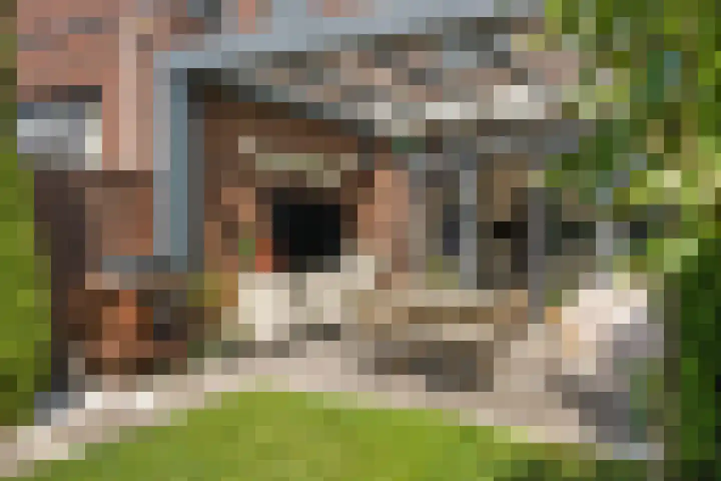 IJssellaan 52 A Arnhem thumbnail 15