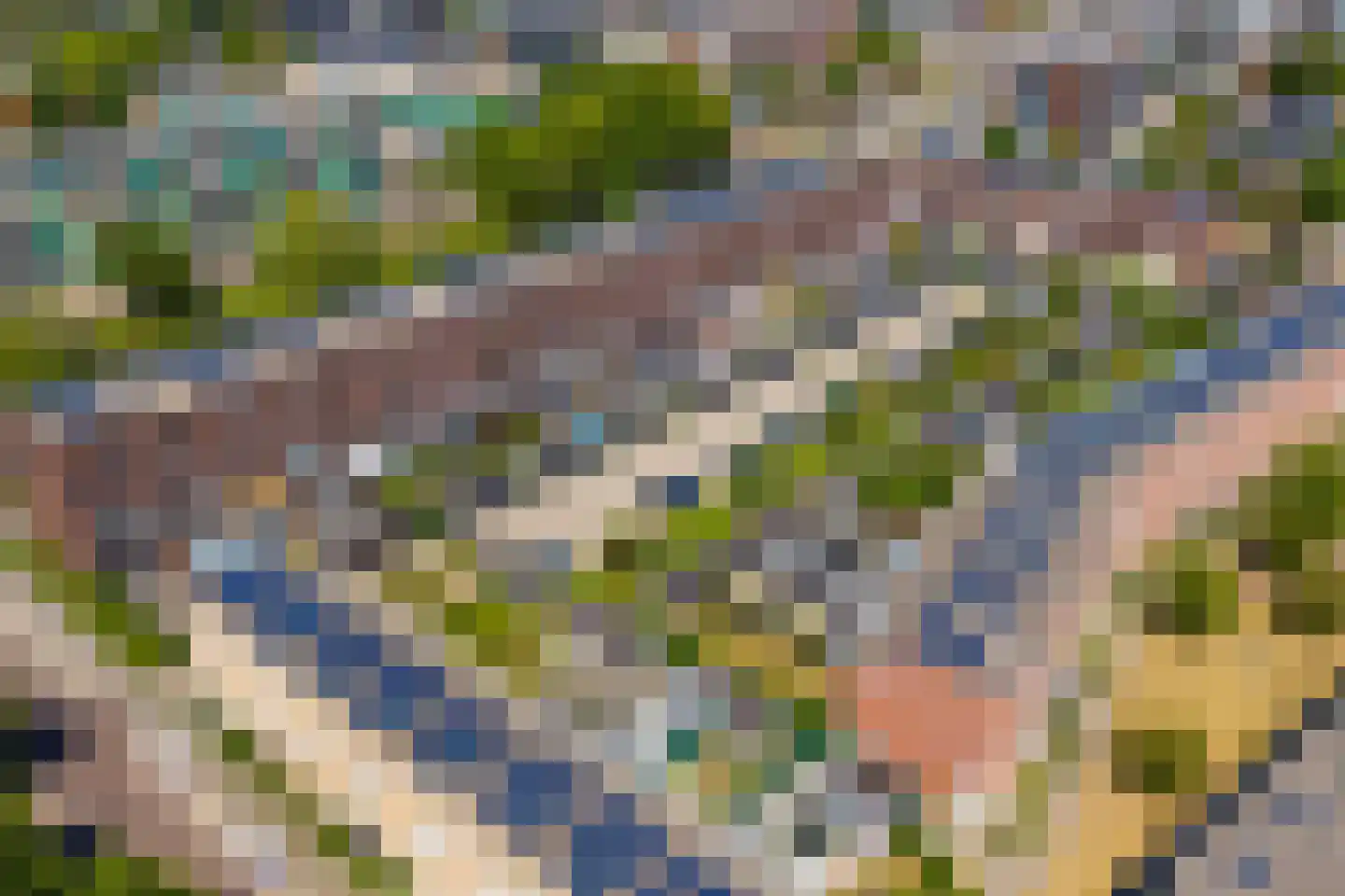 IJssellaan 52 A Arnhem thumbnail 38