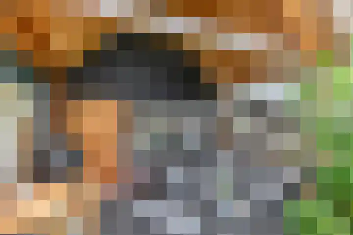 IJssellaan 52 Gouda thumbnail 33