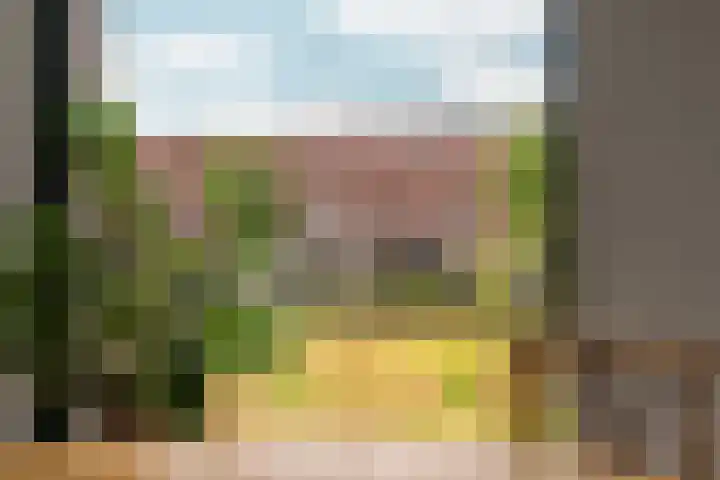 IJssellaan 60 Arnhem thumbnail 22