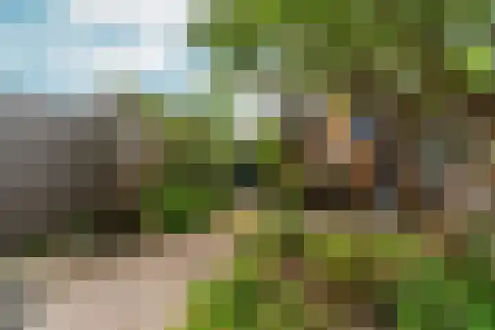 IJssellaan 60 Arnhem thumbnail 38