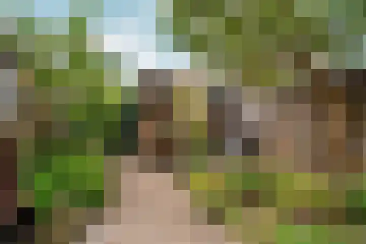IJssellaan 60 Arnhem thumbnail 39