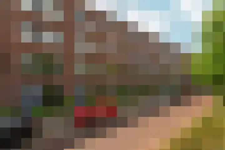 IJssellaan 60 Arnhem thumbnail 45