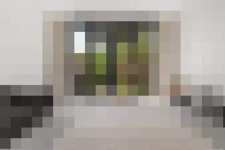 IJssellaan 60 Arnhem thumbnail 6