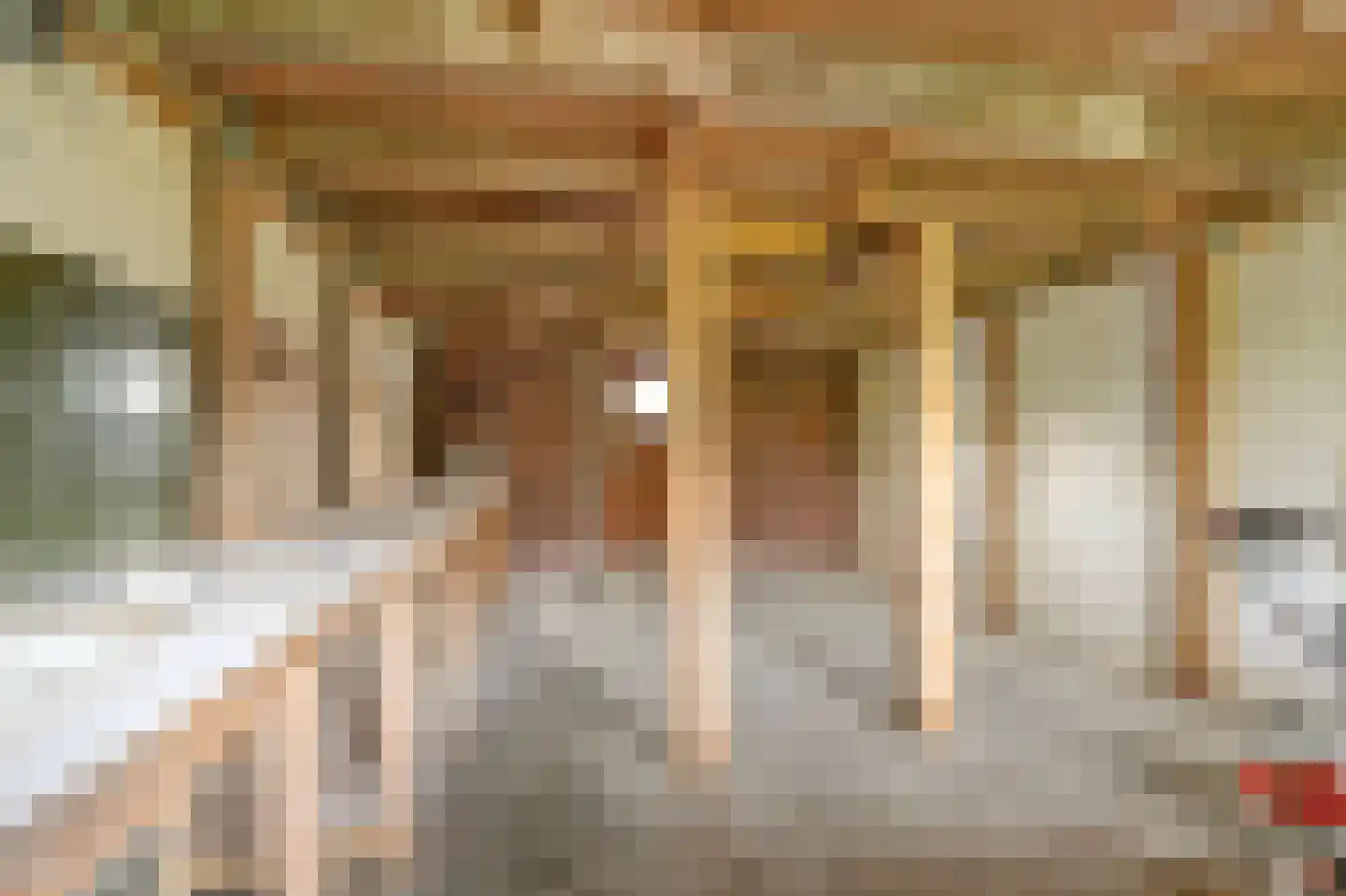 IJssellaan 70 Gouda thumbnail 22