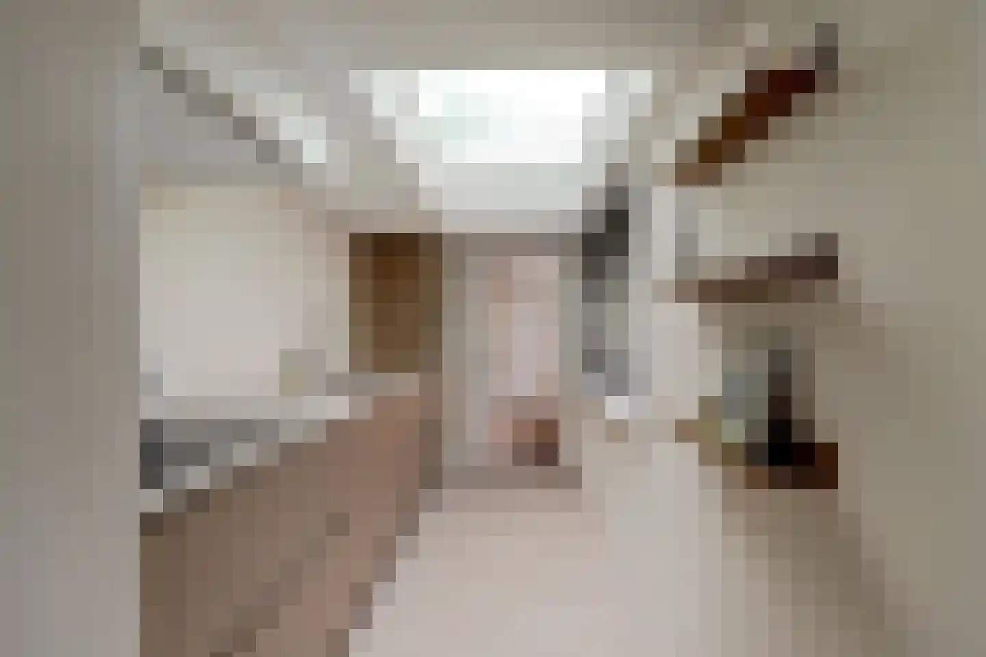 IJssellaan 70 Gouda thumbnail 4