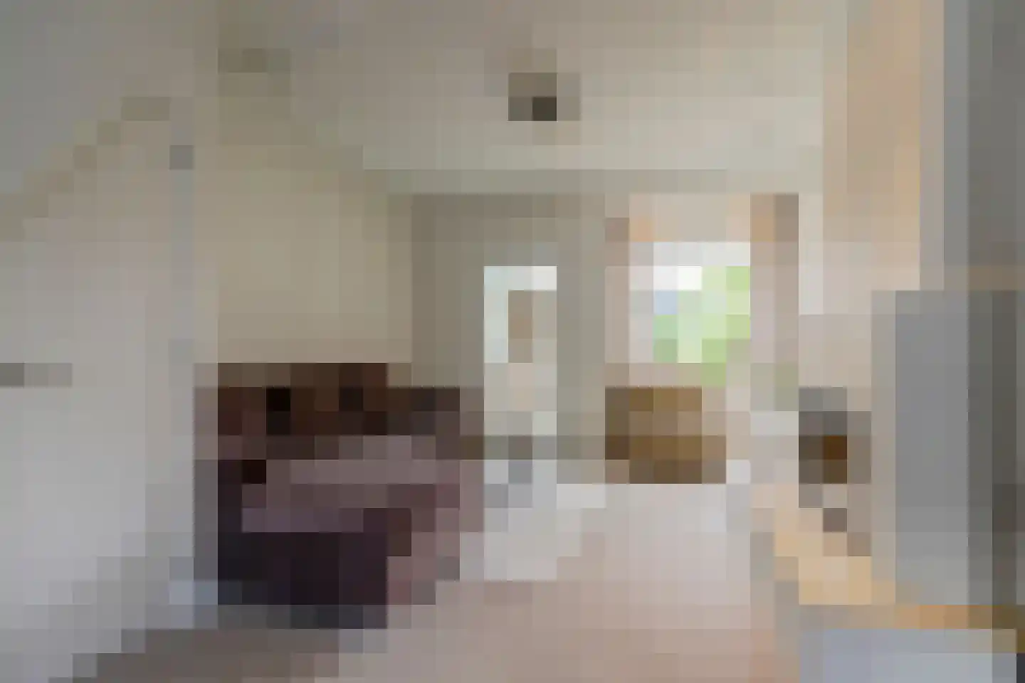 IJssellaan 70 Gouda thumbnail 8