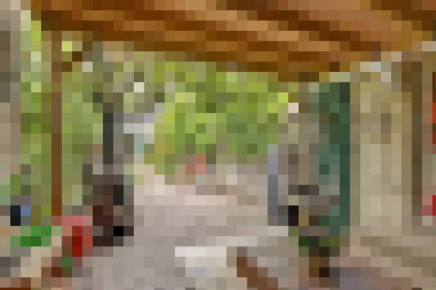 IJssellaan 71 Gouda thumbnail 38