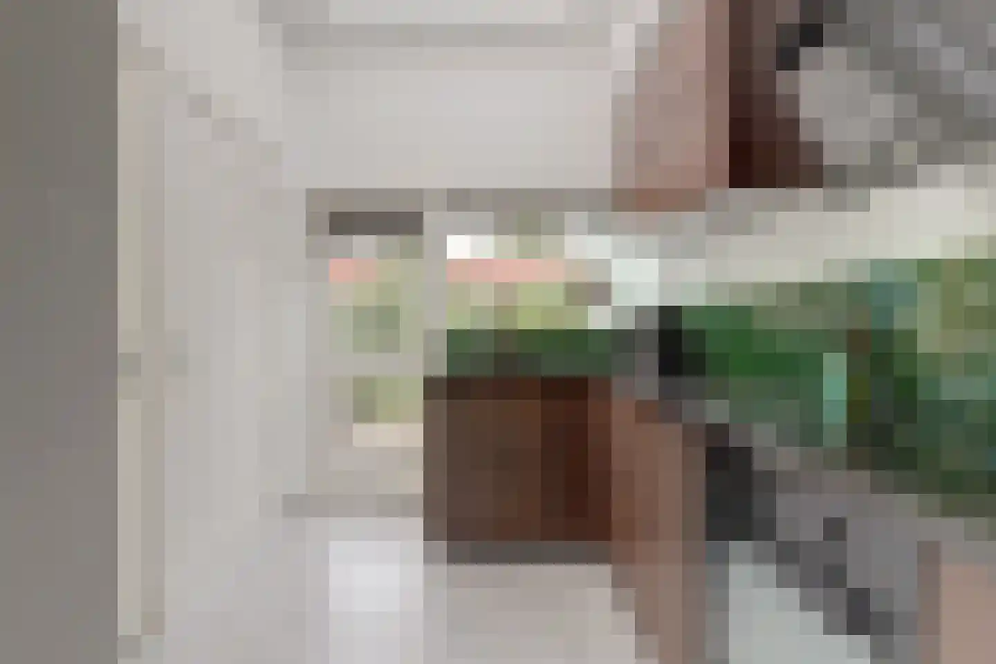IJssellaan 71 Gouda thumbnail 4