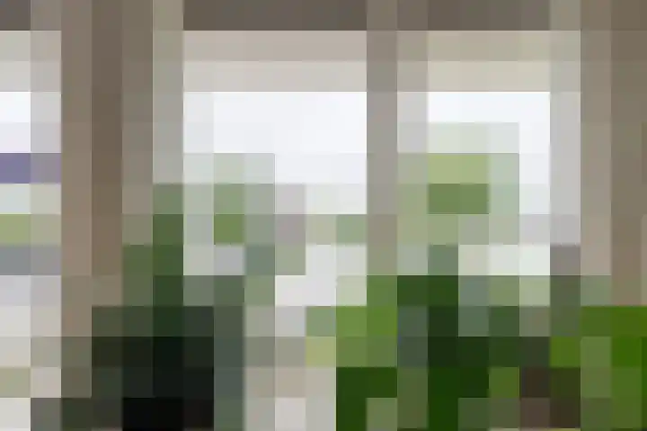 IJssellaan 8 Kropswolde thumbnail 19
