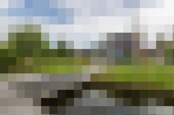IJssellaan 8 Kropswolde thumbnail 4