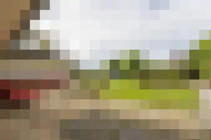 IJssellaan 8 Kropswolde thumbnail 40