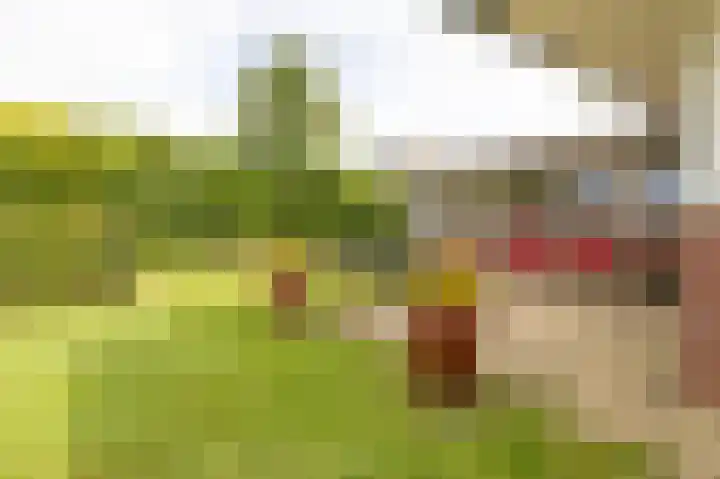 IJssellaan 8 Kropswolde thumbnail 41