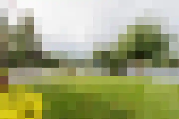 IJssellaan 8 Kropswolde thumbnail 42