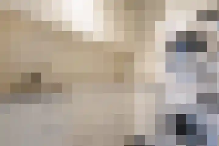 IJssellaan 8 Kropswolde thumbnail 49