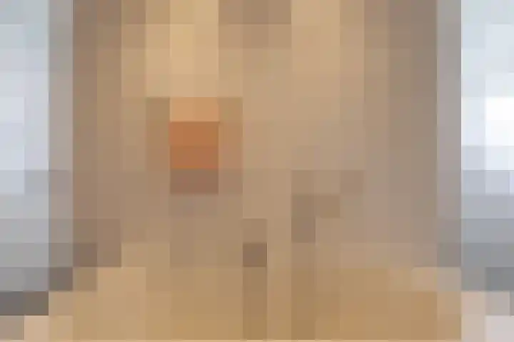 IJssellaan 8 Kropswolde thumbnail 65