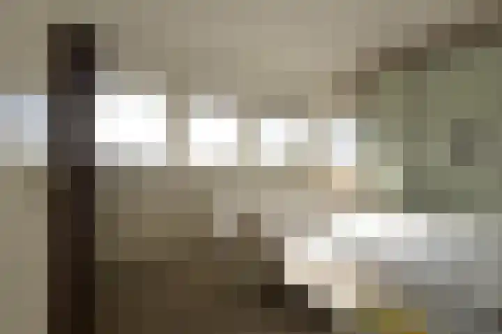 IJssellaan 8 Kropswolde thumbnail 72