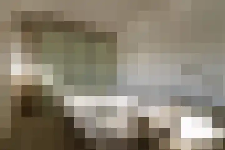 IJssellaan 8 Kropswolde thumbnail 74