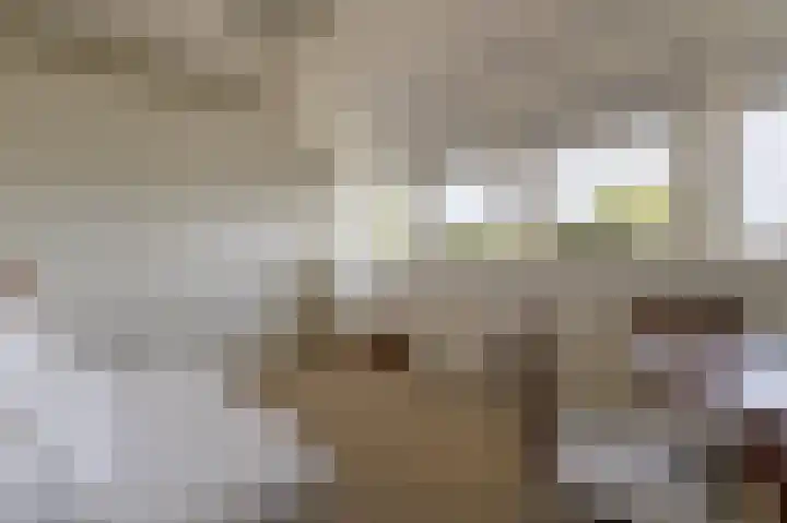 IJssellaan 8 Kropswolde thumbnail 94