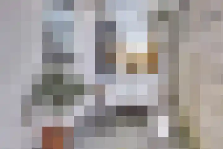 IJssellaan 80 Gouda thumbnail 22