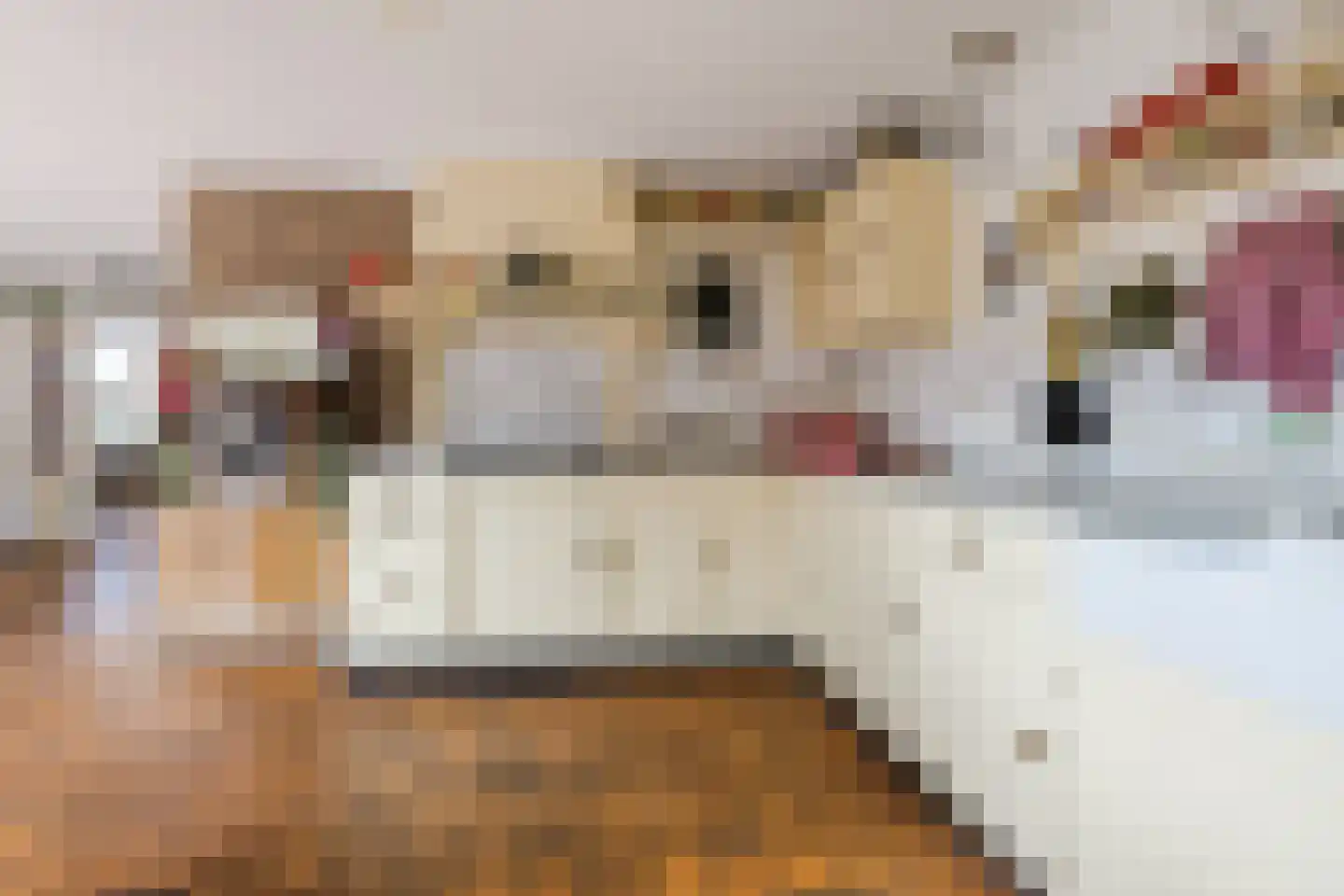 IJsselland 24 Nieuwleusen thumbnail 16