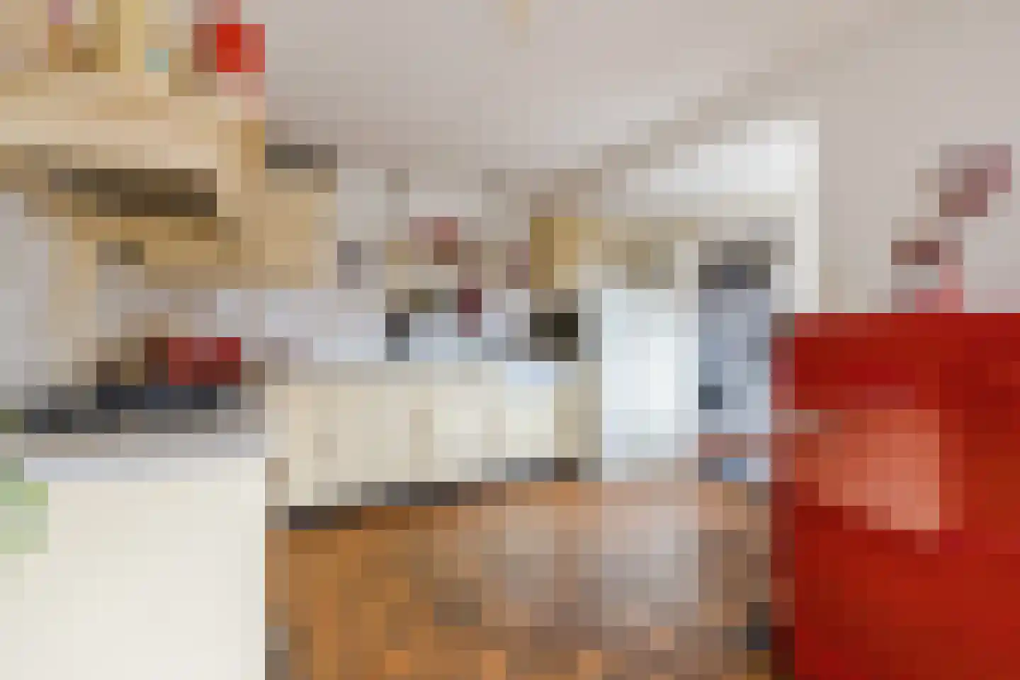 IJsselland 24 Nieuwleusen thumbnail 17