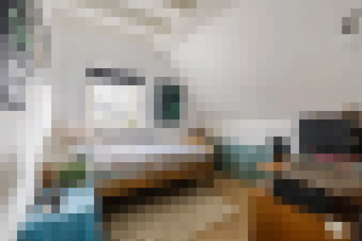IJsselland 24 Nieuwleusen thumbnail 37