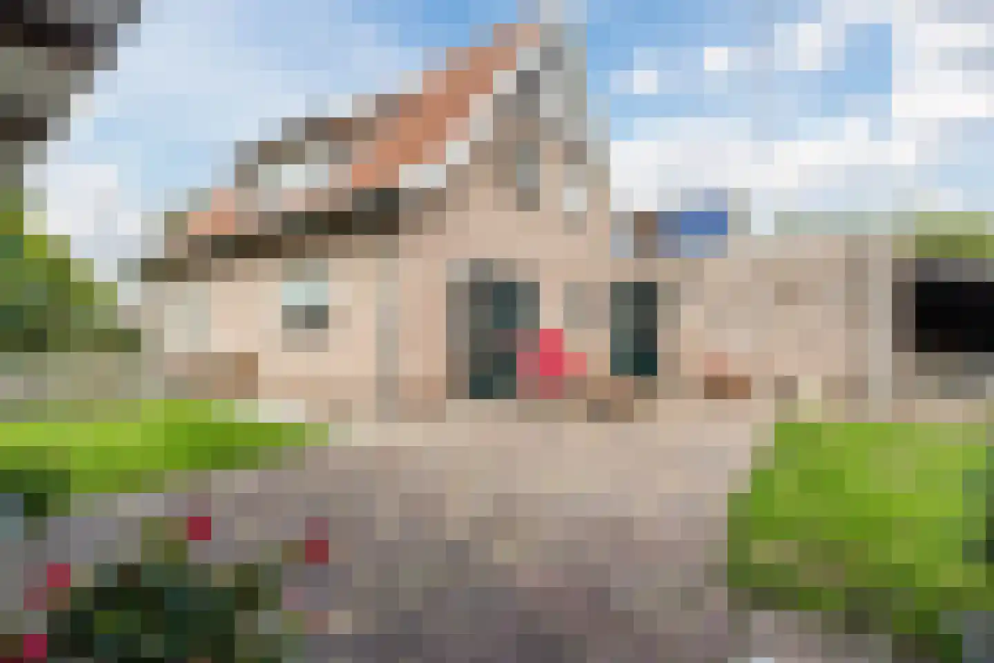 IJsselland 24 Nieuwleusen thumbnail 40