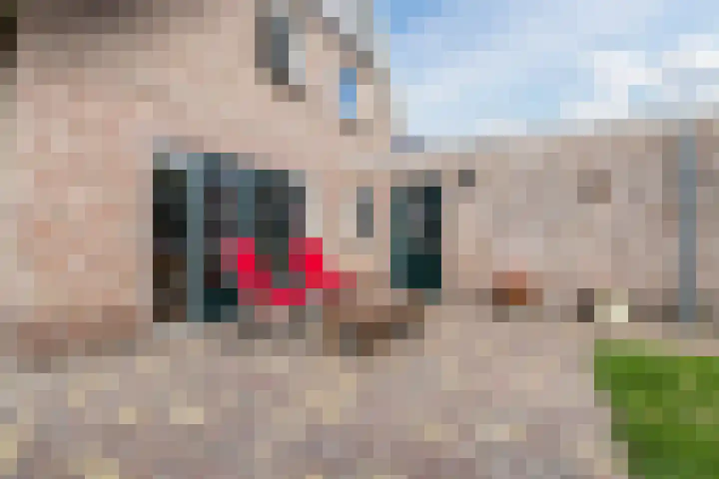 IJsselland 24 Nieuwleusen thumbnail 42